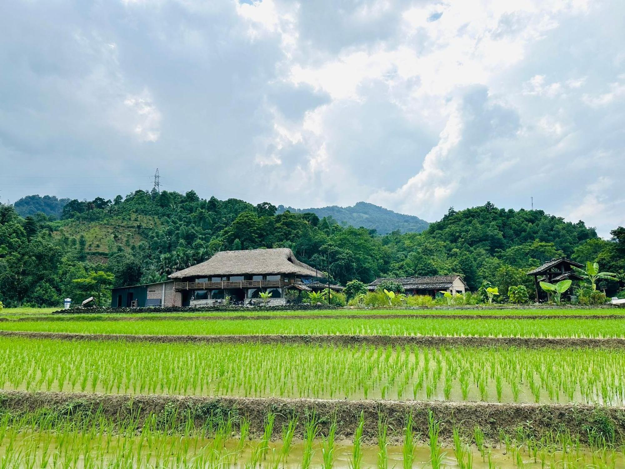 Ban Bang Ecolodge Tours & Motorbike Rental Ha Giang Exteriér fotografie